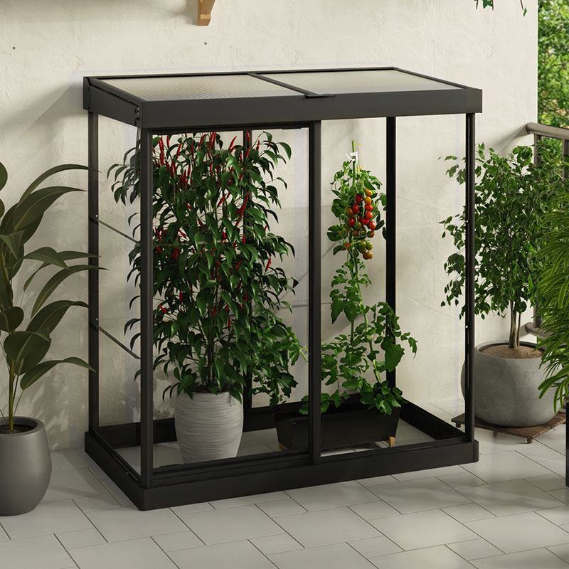 4' x 2' Palram Canopia Ivy Polycarbonate Mini Greenhouse - Black (1.24m x 0.64m)
