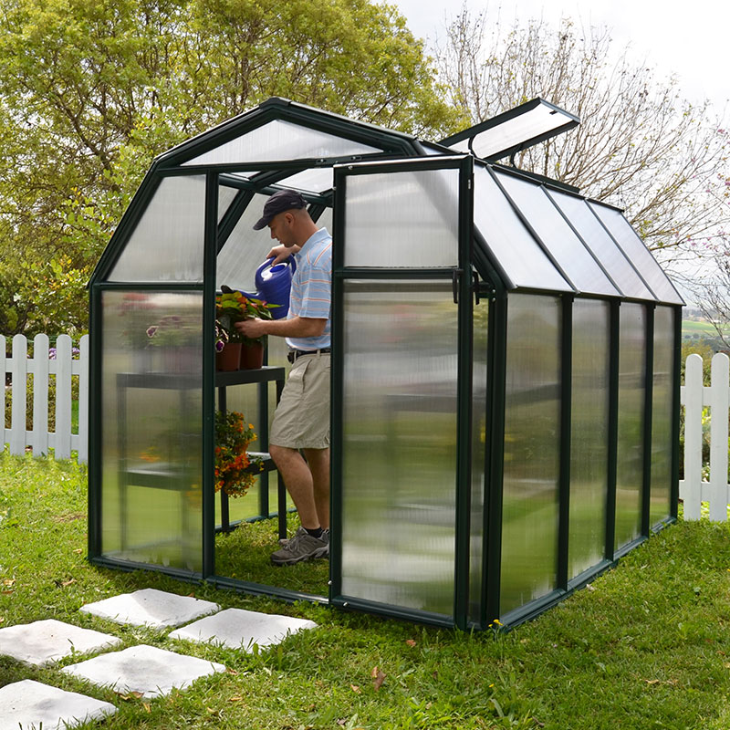 Photos - Greenhouses Canopia 6'x8' Palram  Rion EcoGrow Green Greenhouse with Resin Frame (2.04m 