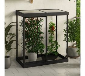 4' x 2' Palram Canopia Ivy Polycarbonate Mini Greenhouse - Black (1.24m x 0.64m)