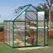 6' x 6' Palram Canopia Mythos Green Polycarbonate Greenhouse (1.85m x 1.86m)